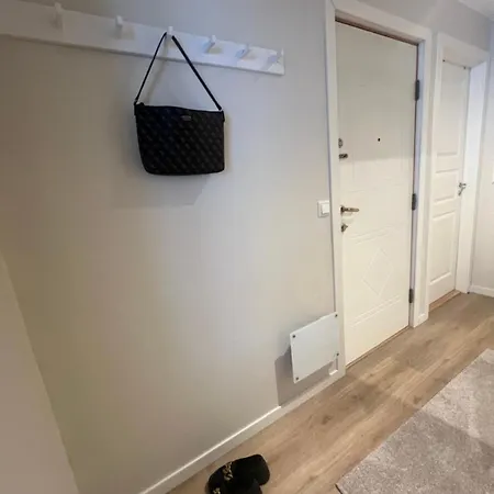 Nordic Elegance