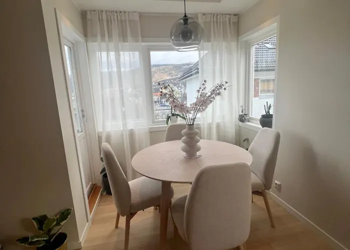 Nordic Elegance