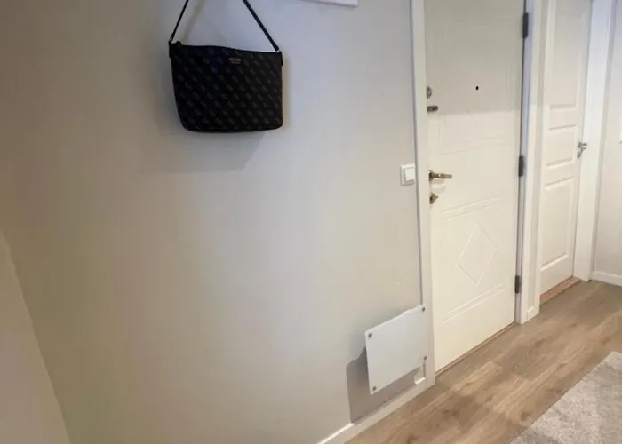 Nordic Elegance